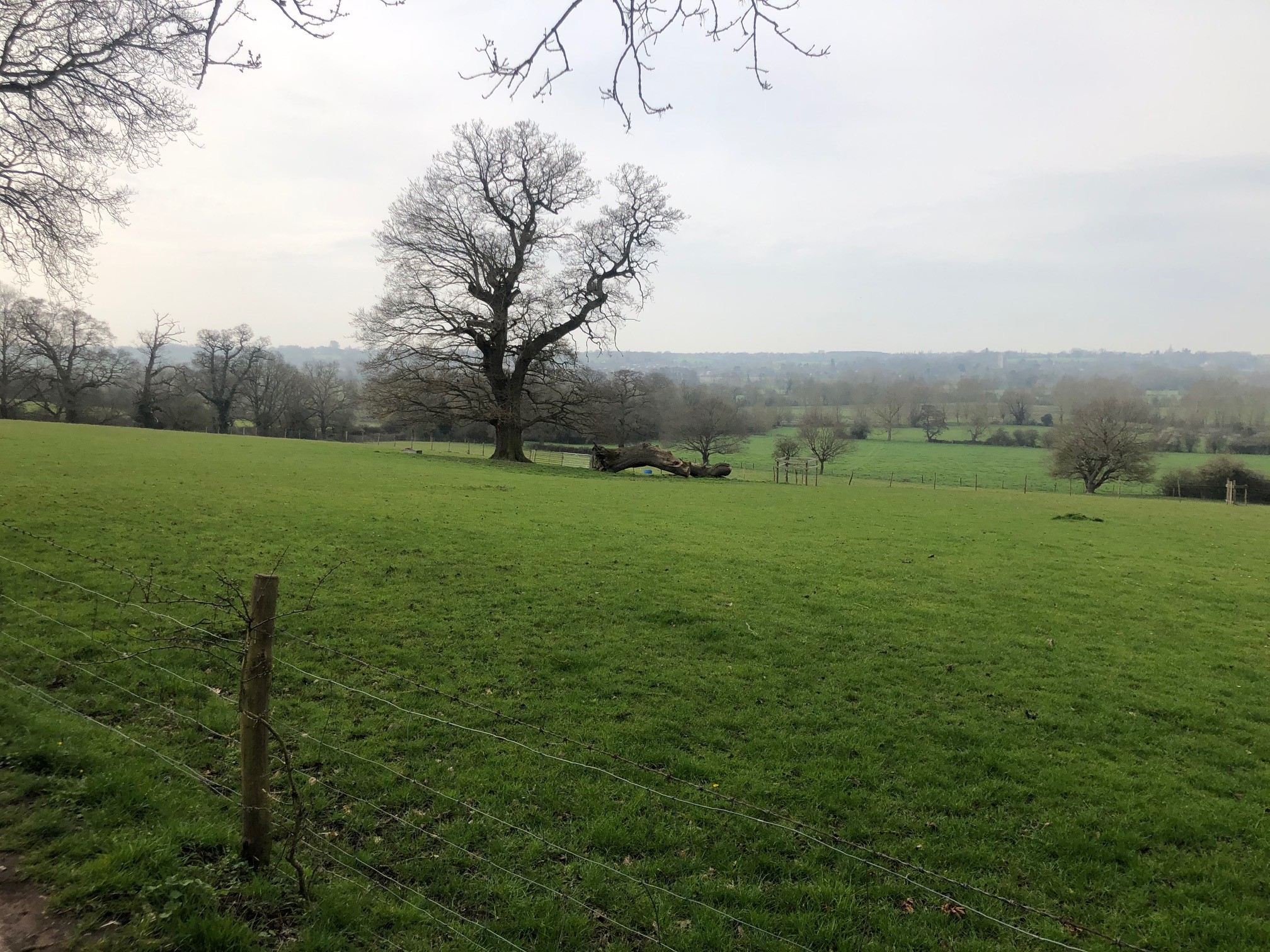Flatford Lane - view over the Vale<br>