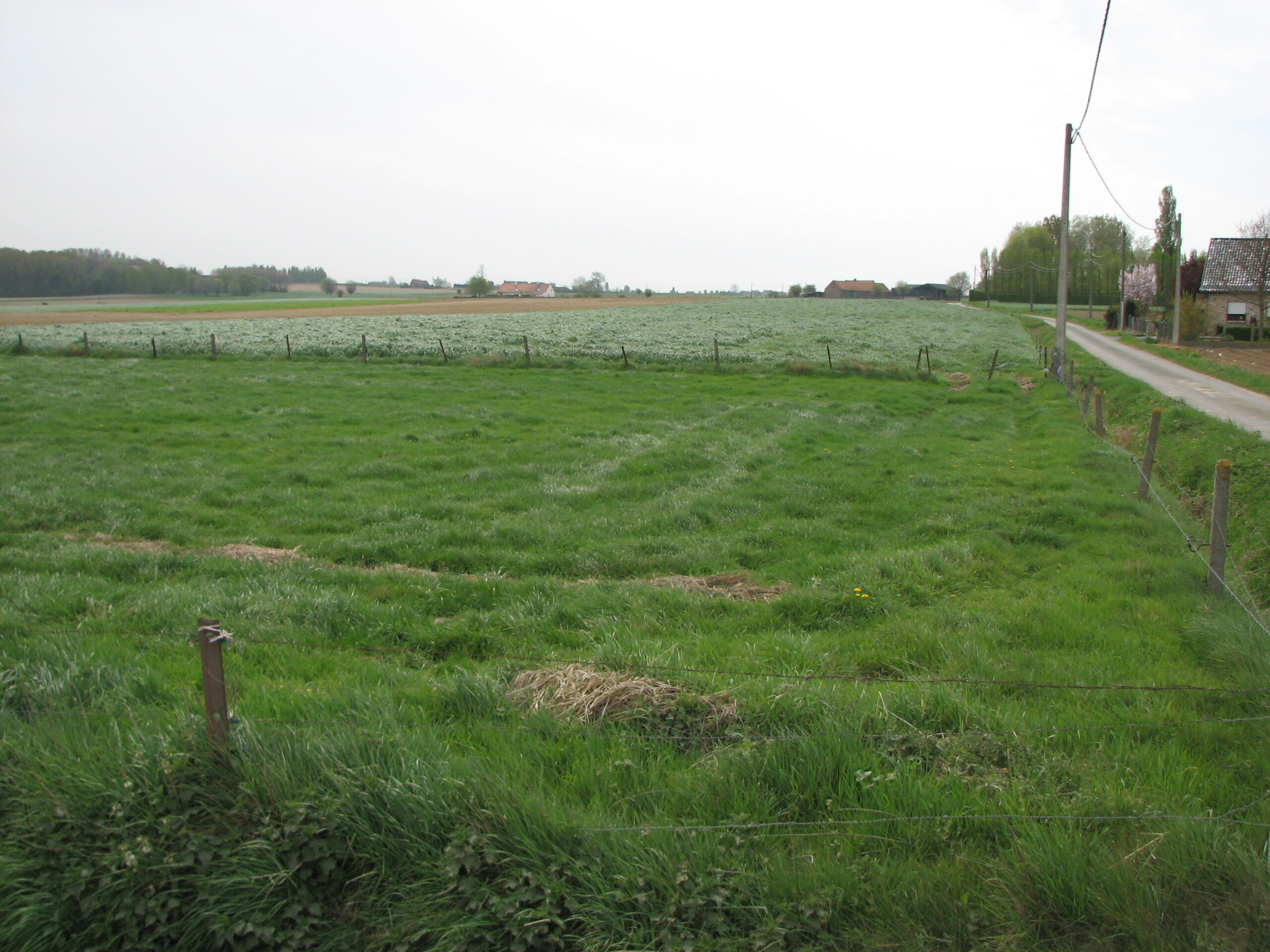 The site of the 2nd Suffolks trenches on 16th January 1915, the day that David was killed.  Photographed in 2007<br>The location is at the foot of the Messines Ridge near Wijtschate (Wytschaete).  The site of the German lines is out of shot to the left of the photo.<br />MA