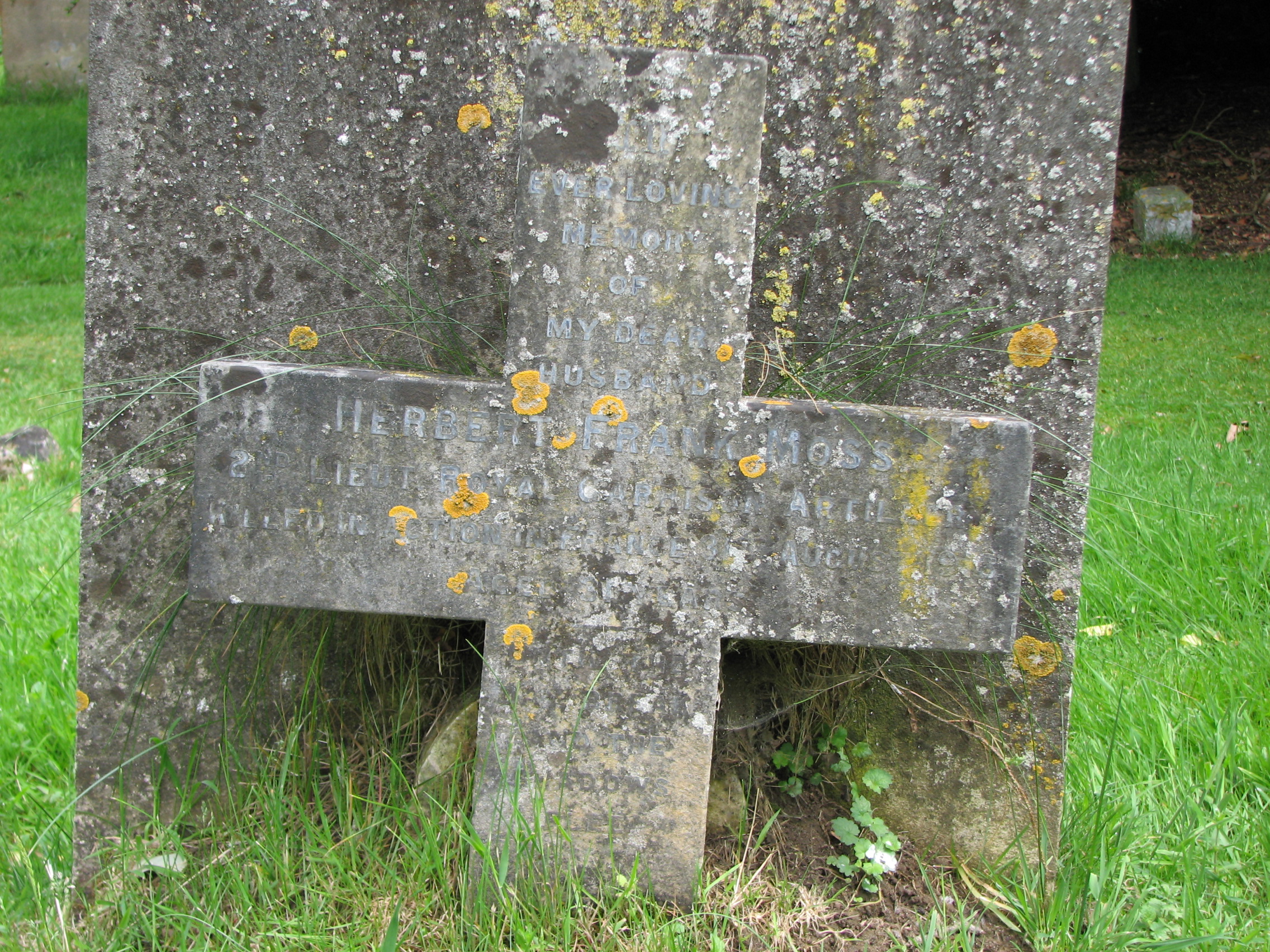 The cross commemorating Herbert, in East Bergholt Cemetery<br>This is located immediately to the rear of the headstone to Herbert's Mother and Sister<br />MA
