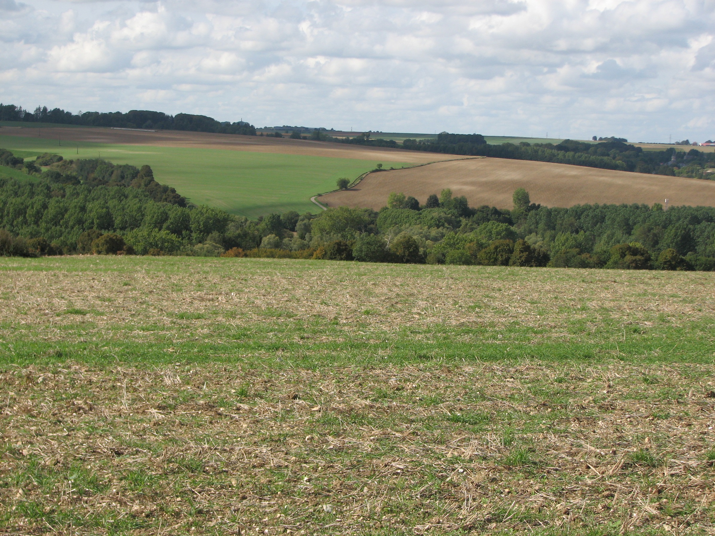 The location of 116th Infantry Brigade's attack on 3 September 1916 - Photographed in 2018<br>116th Infantry Brigade (including Arthur's MG Company)  attacked on the far side of the valley - from where the trees are on the left -  towards the right.  
The white patches in the ploughed field to the right, is chalk debris (from disturbed sub-soil) and marks the approximate location of the German front-line.  <br />MA