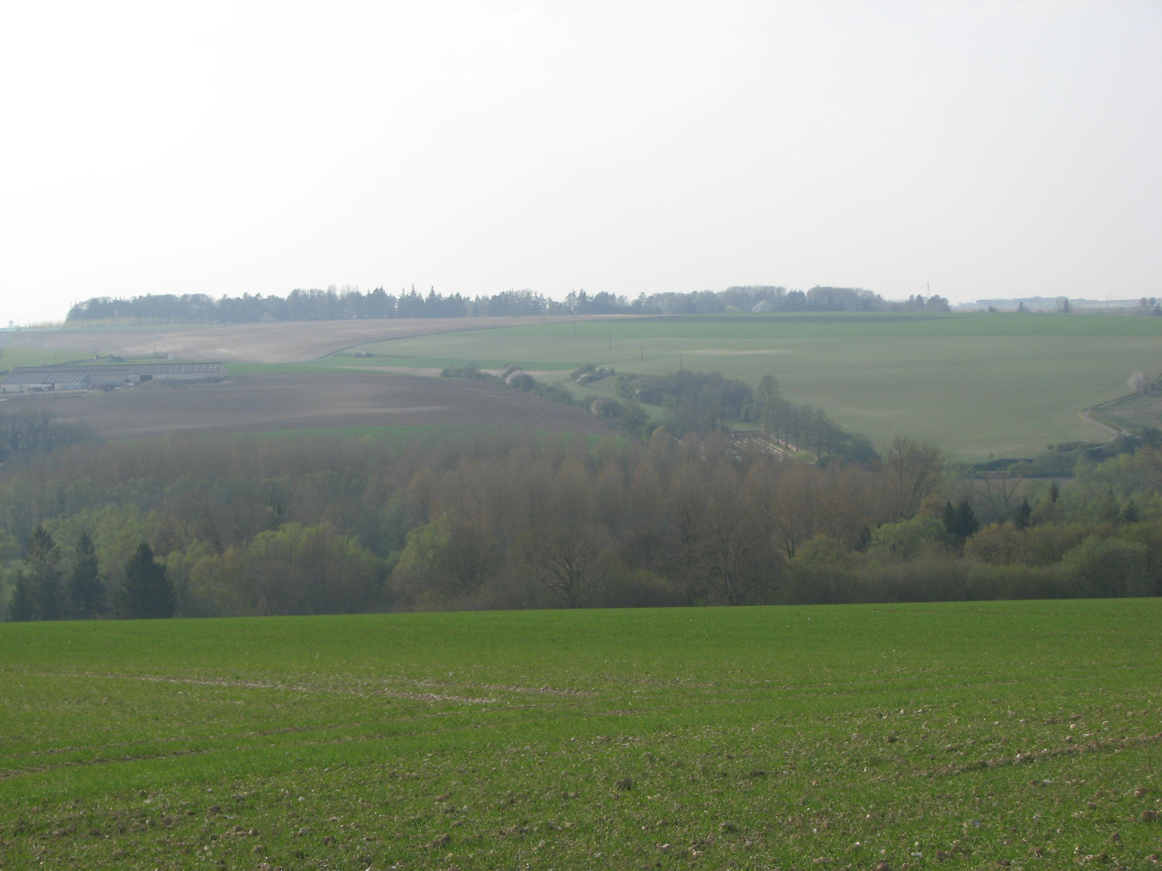 The location of 39th Division's attack on 3 September 1916 - seen across the valley - Photographed in 2010<br>The 17th Sherwood Foresters line was roughly above the right-hand line of trees coming up from the valley.  The German lines were to the right of the photo.<br />MA
