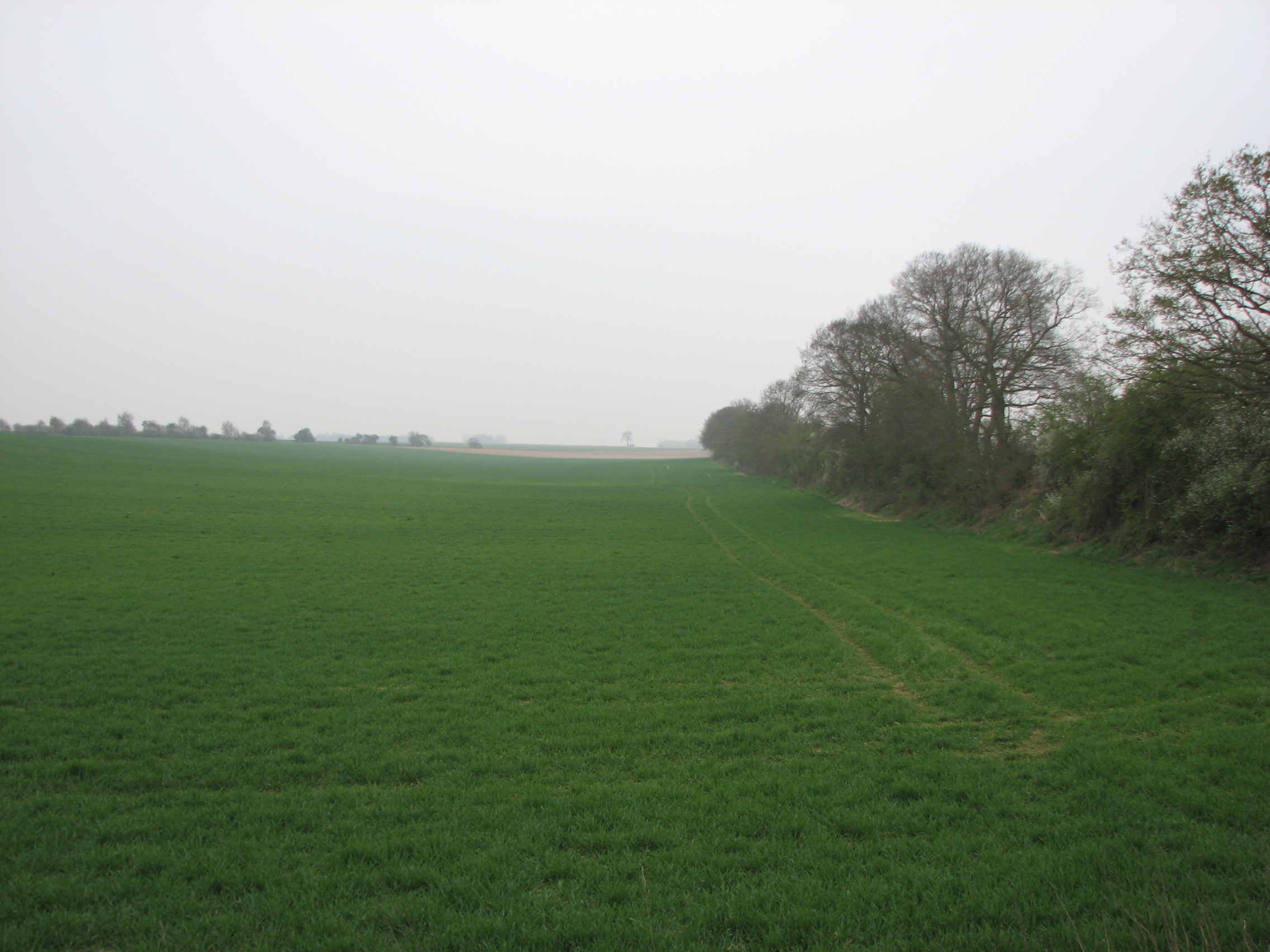 The field where Herbert's body was found after the War.  Photographed in 2010.<br>The location where the bodies were found  was approximately where the tractor tyre marks end in the right foreground.<br />MA