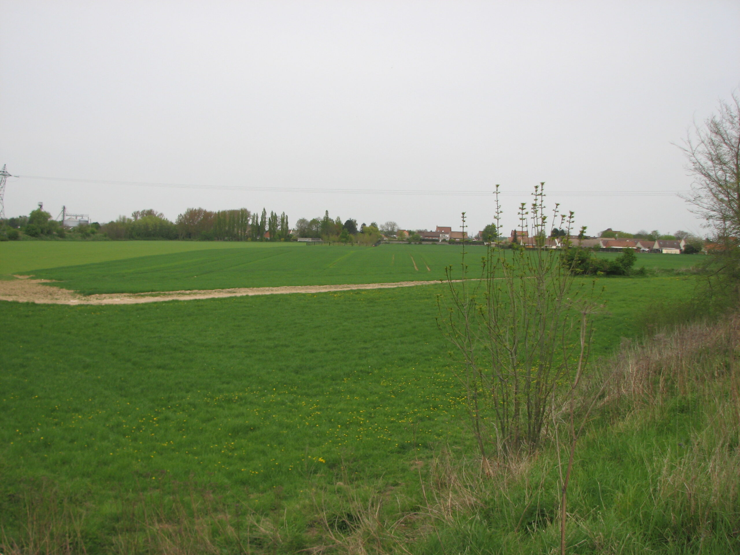 The site of the 11th Suffolks attack on 28th April 1917.  Photographed in 2013.<br>The route of the 11th Suffolks attack was roughly parallel to the railway embankment which can be seen in the left distance.  The site of the Chemical Works in Roeux lies just behind the trees in the middle of the picture.   <br />MA