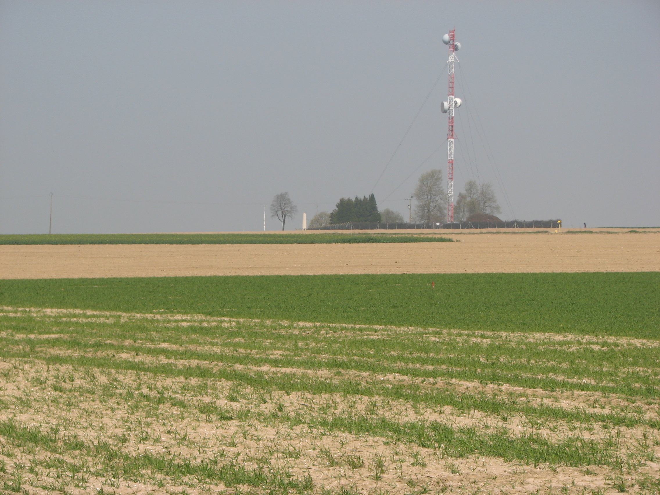 The spot where Michael was killed, near Pozieres - Photographed in April 2010<br>Looking towards the site of the junction of the O.G.2 and Munster Alley trenches, where Michael was killed.
 
(O.G.2. trench ran from just to the left of the mast (which stands in front of the site of Pozieres Mill) and came towards the camera.   Munster Alley trench ran off to the right roughly along where the line of thick corn in the lower half of the photo changes to bare earth.  <br />MA